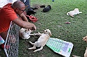 mladicki_11.07.2010_0009