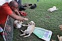 mladicki_11.07.2010_0010