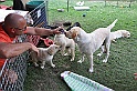 mladicki_11.07.2010_0011