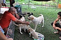 mladicki_11.07.2010_0012