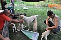 mladicki_11.07.2010_0013