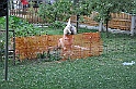 mladicki_11.07.2010_0014
