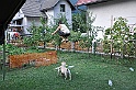 mladicki_11.07.2010_0015