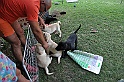 mladicki_11.07.2010_0018