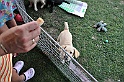 mladicki_11.07.2010_0019