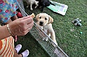 mladicki_11.07.2010_0021