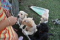 mladicki_11.07.2010_0026