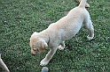 mladicki_11.07.2010_0028