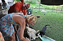 mladicki_11.07.2010_0032