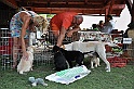 mladicki_11.07.2010_0048