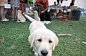 mladicki_11.07.2010_0051