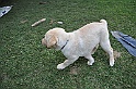 mladicki_11.07.2010_0052