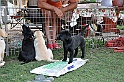 mladicki_11.07.2010_0053