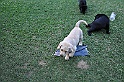 mladicki_11.07.2010_0058