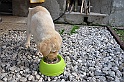 mladicki_11.07.2010_0090