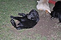 mladicki_11.07.2010_0096