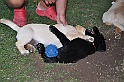 mladicki_11.07.2010_0101