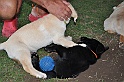 mladicki_11.07.2010_0102