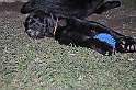 mladicki_11.07.2010_0104