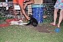 mladicki_11.07.2010_0108