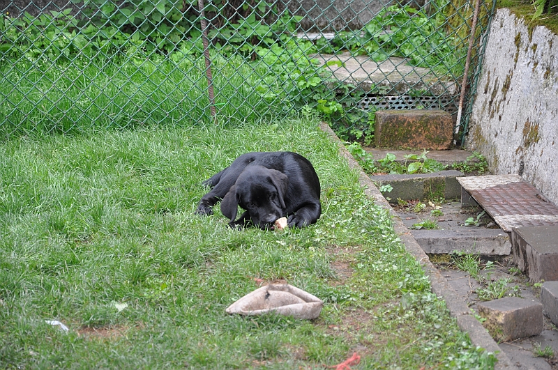 mladicki_18.08.2010_020.jpg