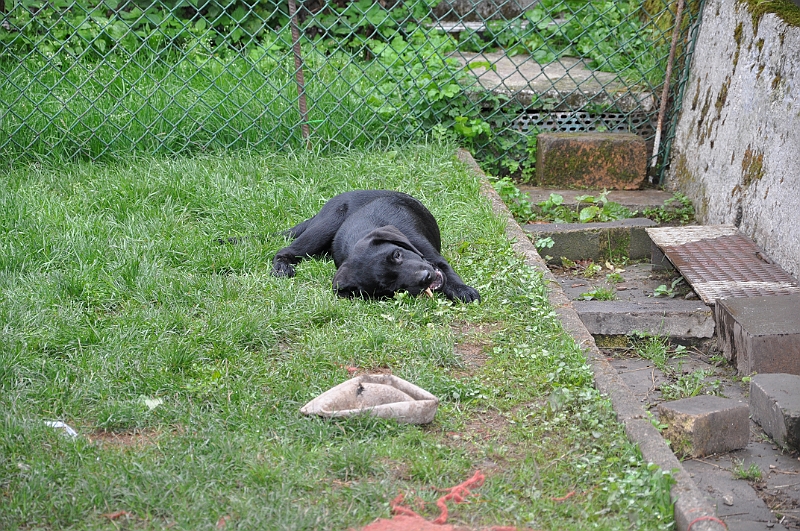 mladicki_18.08.2010_021.jpg