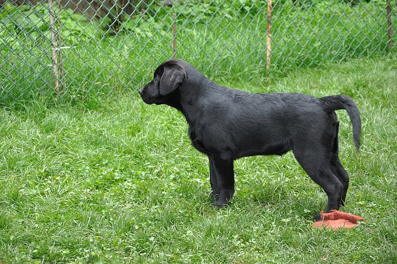 mladicki_18.08.2010_033.jpg