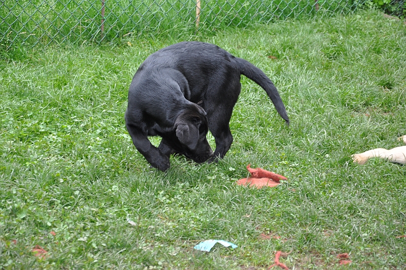 mladicki_18.08.2010_035.jpg
