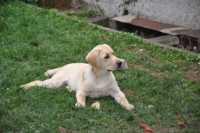 mladicki_18.08.2010_039.jpg
