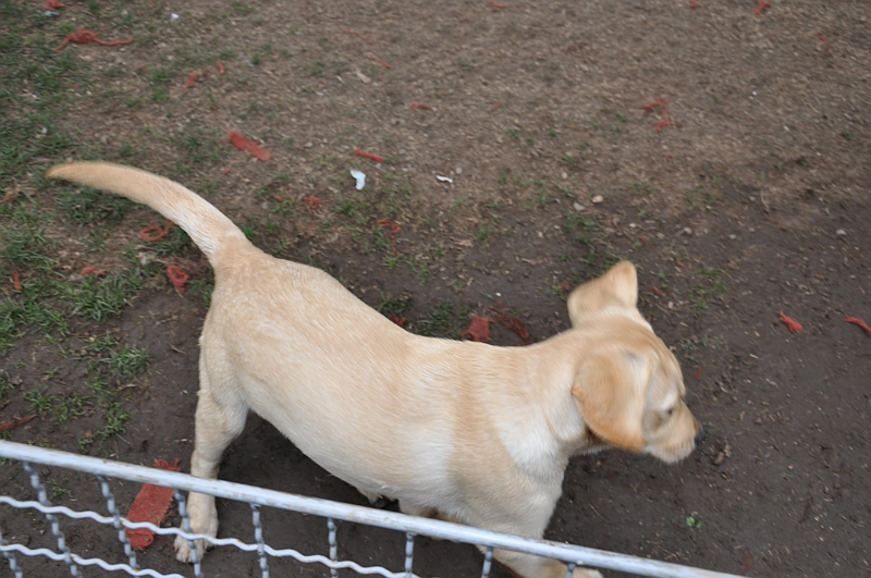 mladicki_18.08.2010_043.jpg