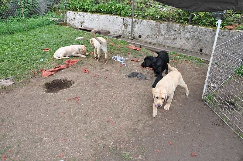 mladicki_18.08.2010_048.jpg