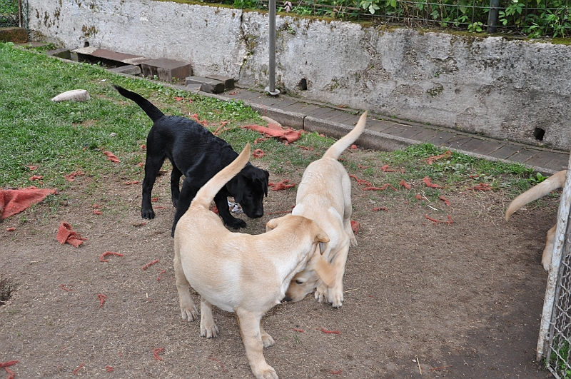 mladicki_18.08.2010_049.jpg