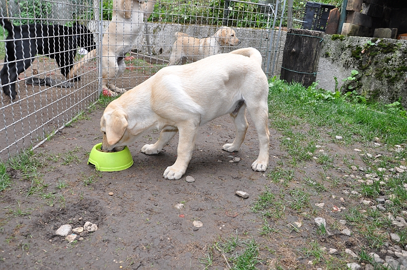 mladicki_18.08.2010_058.jpg