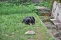mladicki_18.08.2010_020