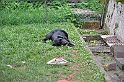 mladicki_18.08.2010_021