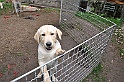 mladicki_18.08.2010_028