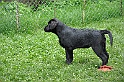 mladicki_18.08.2010_033