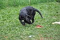 mladicki_18.08.2010_035