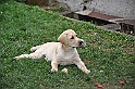 mladicki_18.08.2010_039