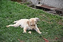 mladicki_18.08.2010_040
