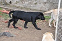 mladicki_18.08.2010_041