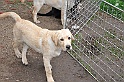 mladicki_18.08.2010_042