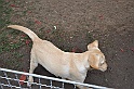 mladicki_18.08.2010_043