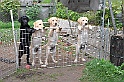mladicki_18.08.2010_051