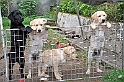 mladicki_18.08.2010_052