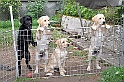 mladicki_18.08.2010_053