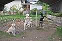 mladicki_18.08.2010_054