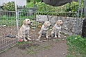 mladicki_18.08.2010_056