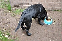 mladicki_18.08.2010_060