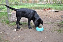 mladicki_18.08.2010_061